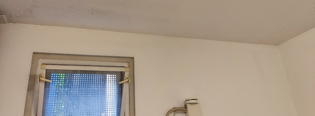 Foto Schimmel im Keller durch Dauerl�ften im Sommer