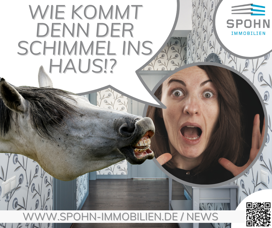 Foto Achtung Gesundheitsrisiko - Schimmel vermeiden!