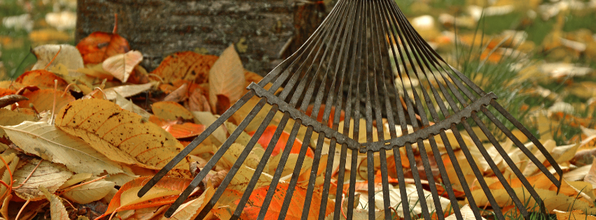 Foto Garten winterfest machen - Checkliste