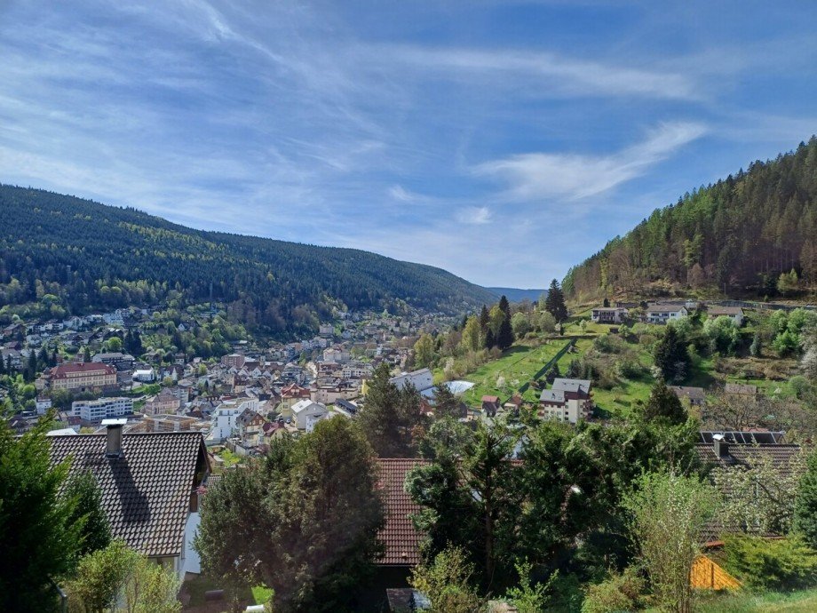 Ausblick: Ferienwohnung I Erholung I Erlebnis - sofort vermieten! Wohnung Bad Wildbad im Schwarzwald