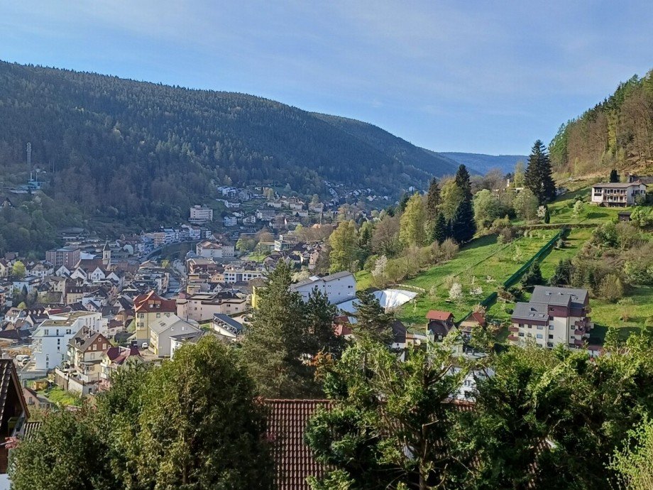 Ausblick: Ferienwohnung I Erholung I Erlebnis - sofort vermieten!! Wohnung Bad Wildbad im Schwarzwald
