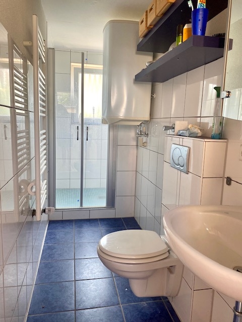 Badezimmer Einfamilienhaus Bad Rappenau / Heinsheim