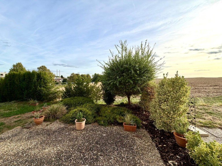 Terrrasse mit Garten Neckarsulm / Obereisesheim Erdgeschosswohnung 