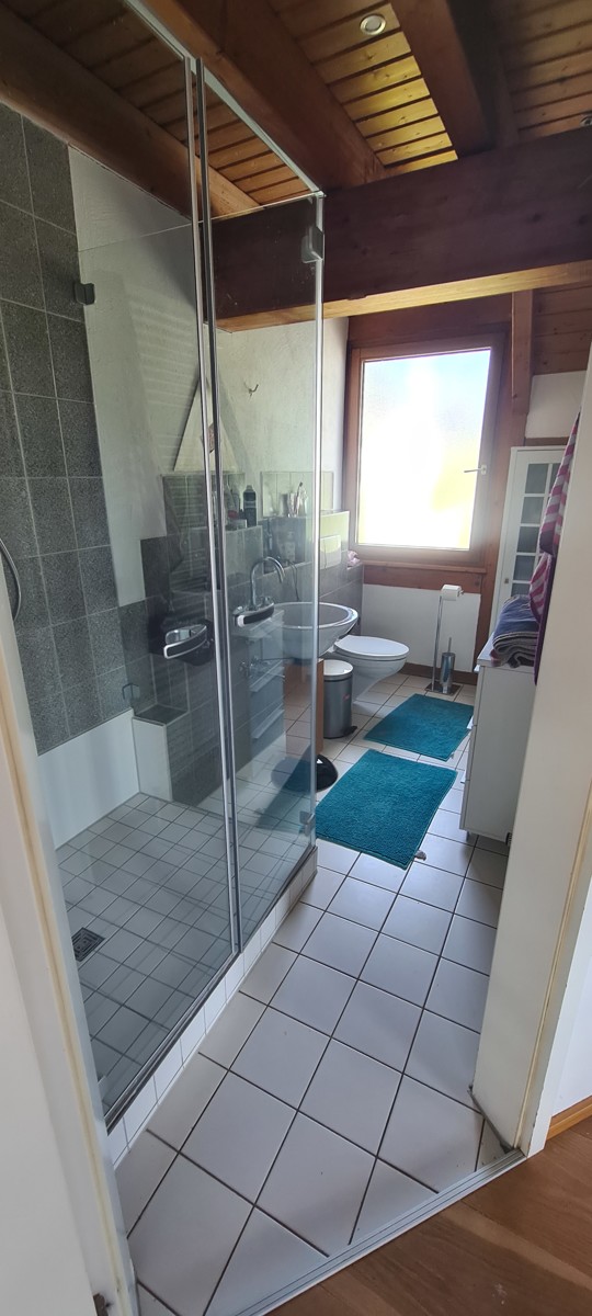 Tageslichtbad Maisonettewohnung Neckarsulm