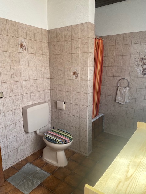 Badezimmer Einfamilienhaus Bad Rappenau / Heinsheim