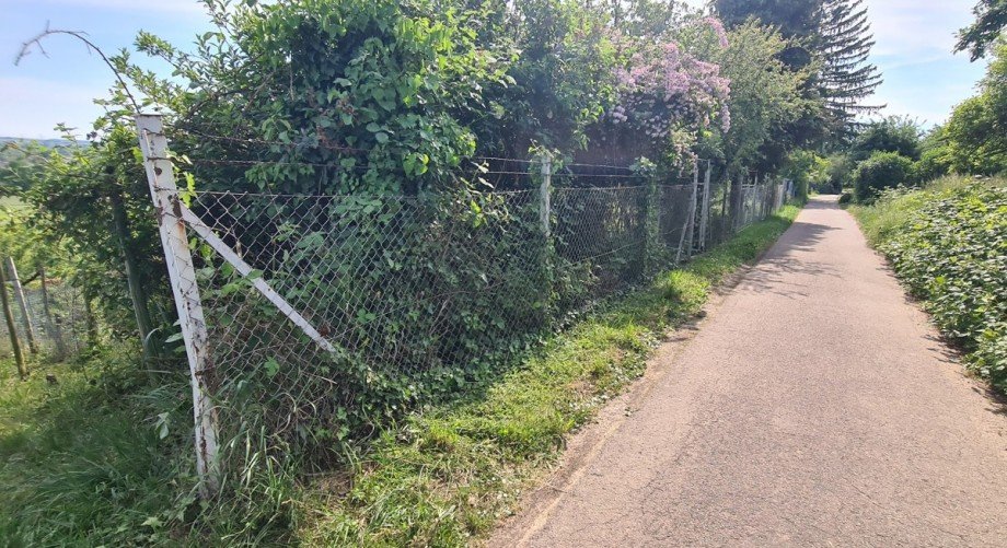 Ansicht von au�en Freizeitgrundst�ck Heilbronn